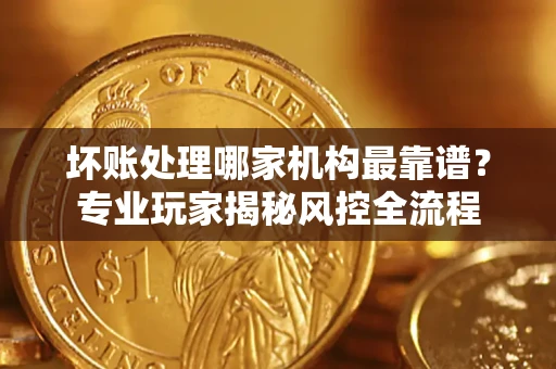 武汉坏账处理哪家机构最靠谱？专业玩家揭秘风控全流程