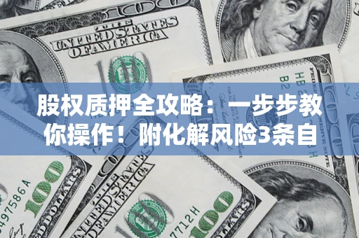 武汉股权质押全攻略：一步步教你操作！附化解风险3条自救法则