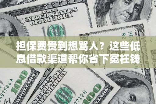 武汉担保费贵到想骂人？这些低息借款渠道帮你省下冤枉钱