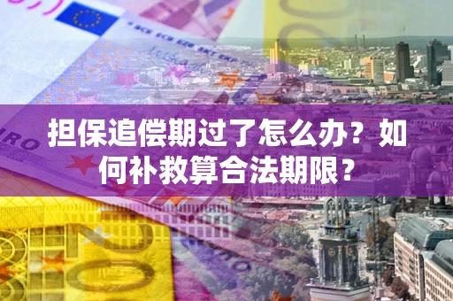 武汉担保追偿期过了怎么办？如何补救算合法期限？