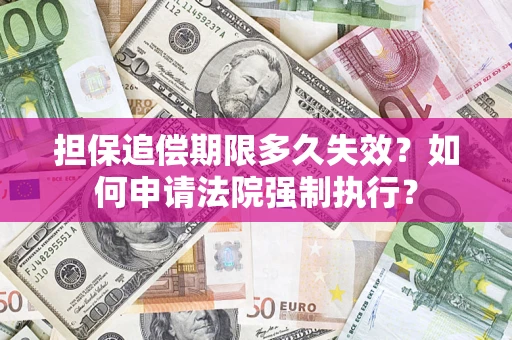 武汉担保追偿期限多久失效？如何申请法院强制执行？
