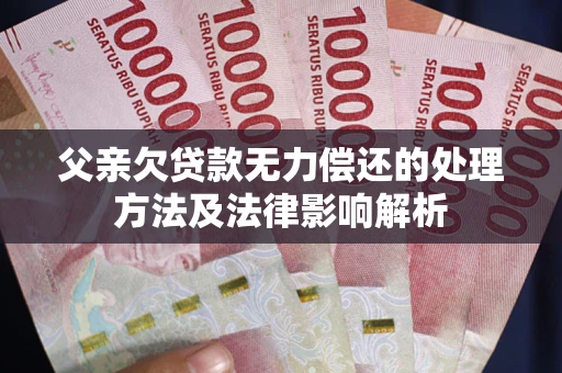 武汉父亲欠贷款无力偿还的处理方法及法律影响解析