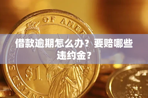武汉借款逾期怎么办？要赔哪些违约金？
